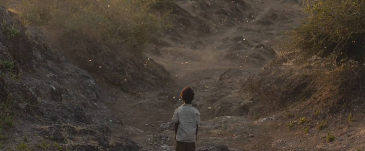 pavol_matula's tweet photo. Amazing film. Beautiful, moving, intense emotionally. Dev Patel is fantastic, so is Sunny Pawar. Gorgeously shot. I loved this film so very much. #JustWatched #DevPatel #RooneyMara #NicoleKidman https://t.co/EhvAh5kBAz
