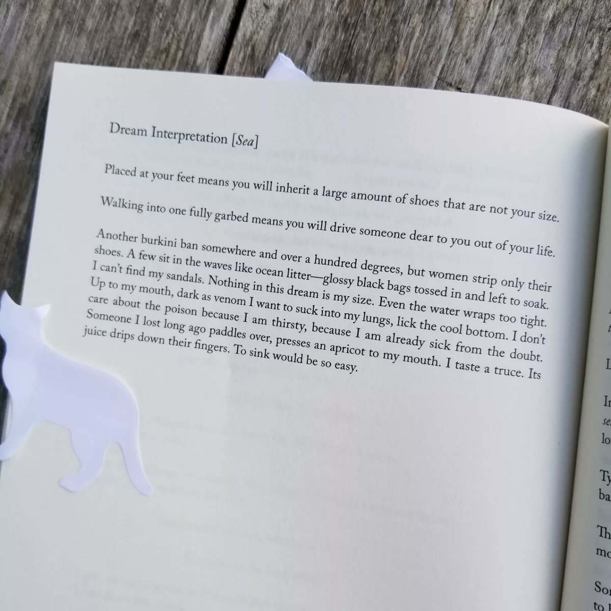 susanmariescavo's tweet image. Sealey Challenge Day 26

The Wild Fox of Yemen by Threa Almontaser

&quot;Are we really meant to live forever shipwrecked,

drowning at the slash-throat edge?&quot;

another wow

@SealeyChallenge  @graywolfpress 
#threaalmontaser @ThreaWrites
#theSealeyChallenge #theSealeyChallenge2023