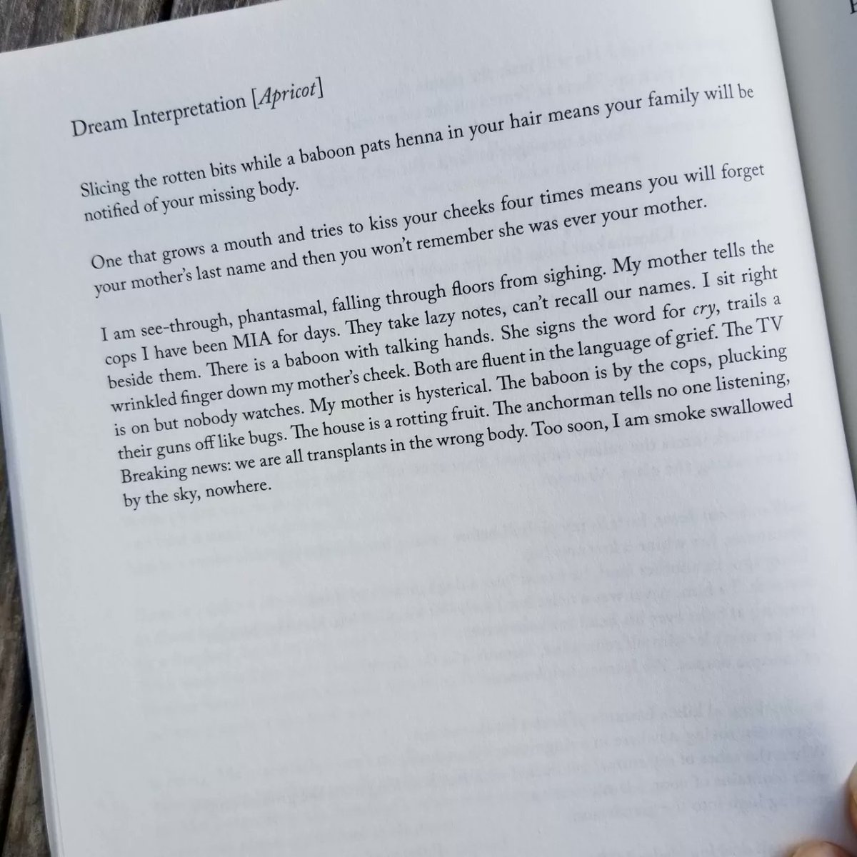 susanmariescavo's tweet image. Sealey Challenge Day 26

The Wild Fox of Yemen by Threa Almontaser

&quot;Are we really meant to live forever shipwrecked,

drowning at the slash-throat edge?&quot;

another wow

@SealeyChallenge  @graywolfpress 
#threaalmontaser @ThreaWrites
#theSealeyChallenge #theSealeyChallenge2023