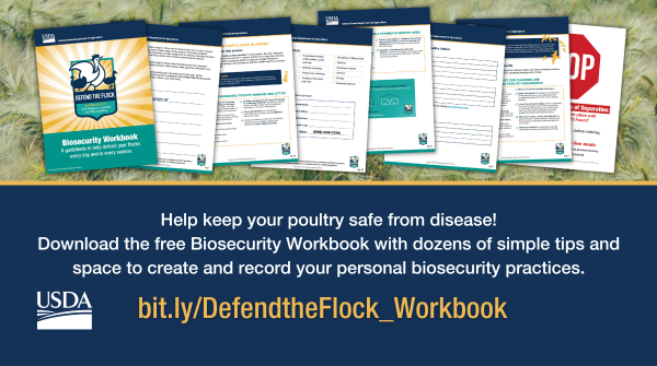 Defend_theFlock's tweet photo. #DefendTheFlock with tips to keep your poultry safe from disease. 
Download the free Biosecurity Workbook: https://t.co/5BTNzmD1PH https://t.co/G2Mjm3pHms