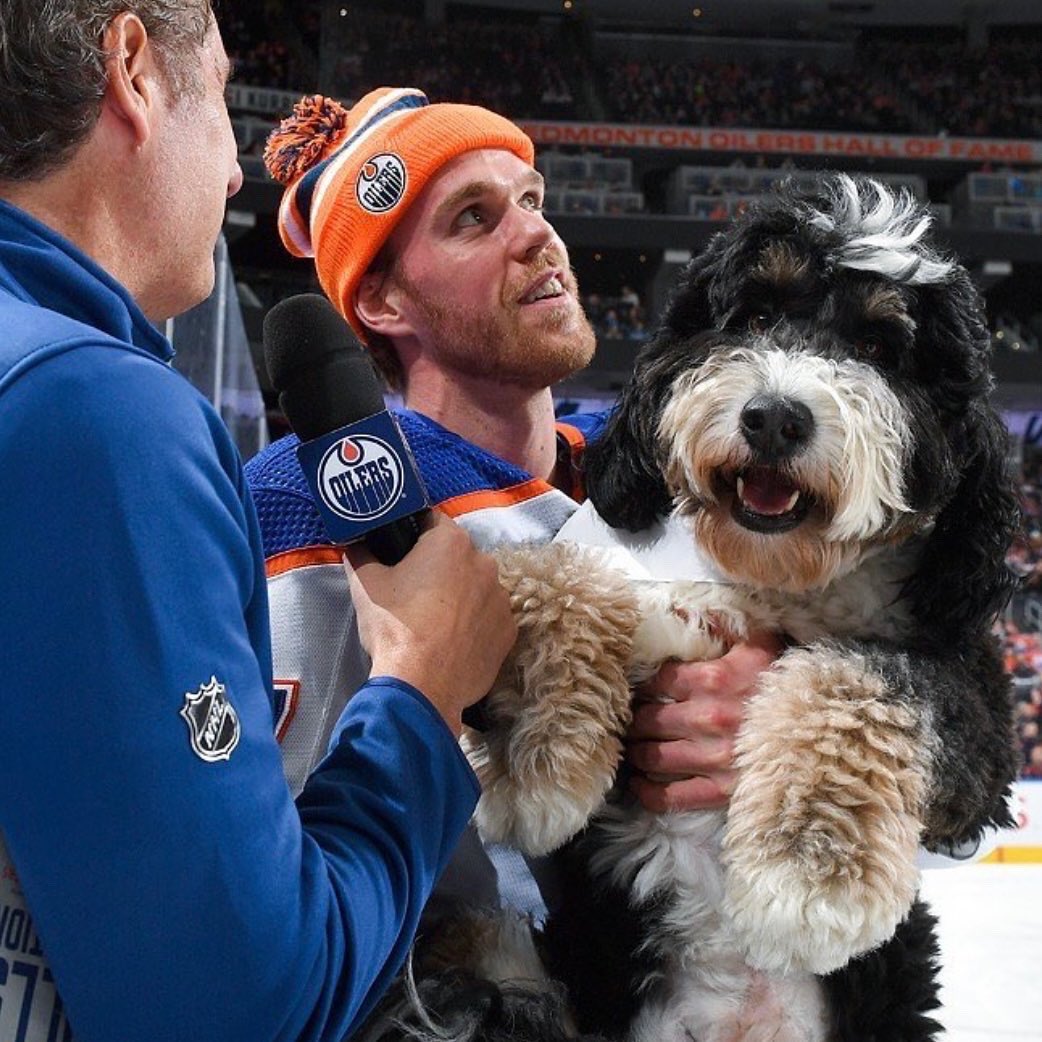 Edmonton Oilers on X: For every RT & LIKE #Oilers fan Kailee's  adorable dog Bean gets, @CoventryHomes will donate $1 to @EdmontonHumane!  #OilersPets  / X