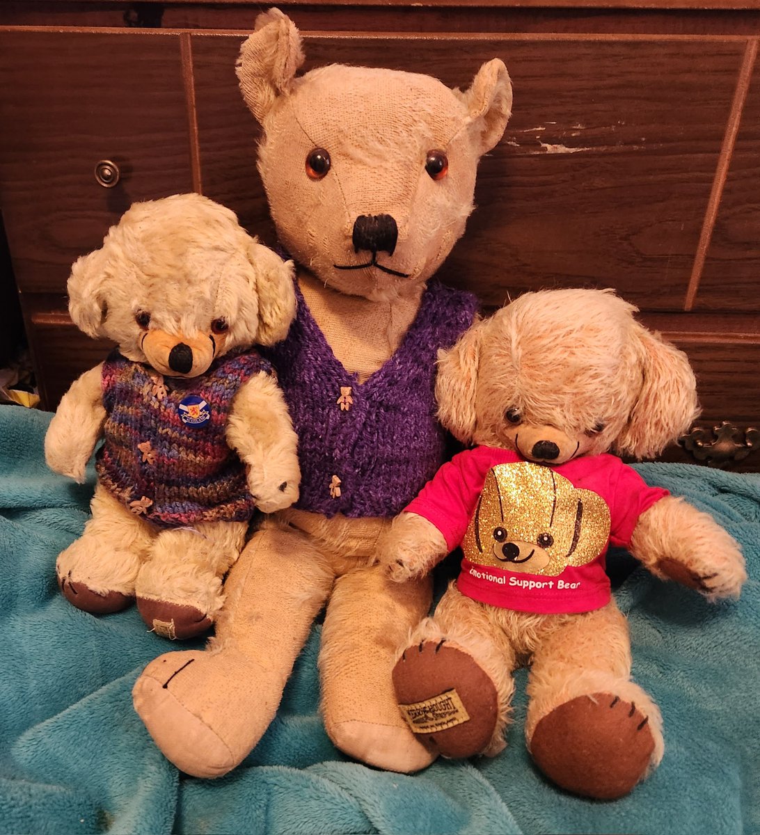 Hello friends!! I don't know if you have met my hugmates; Biscuit, is a 9" Merrythought Cheeky bear from the late 50s &amp; Alfred is an 18" Merrythought bear from the 1930s. The 3 of us were all adopted by Girl, here in Kansas, from #FlumpBearCare in the UK.