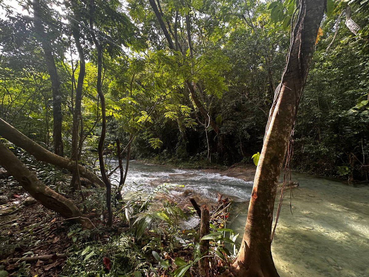 Wherewilwegobl's tweet photo. A perfect way to end the perfect day. Cooling down in this stunning river. Do you know where this is?

Find out here: https://t.co/Jjk94N6HcW

#rivers #outdoors #stmary #travel #travelblogger #wherewilwego https://t.co/kntKUvyesW