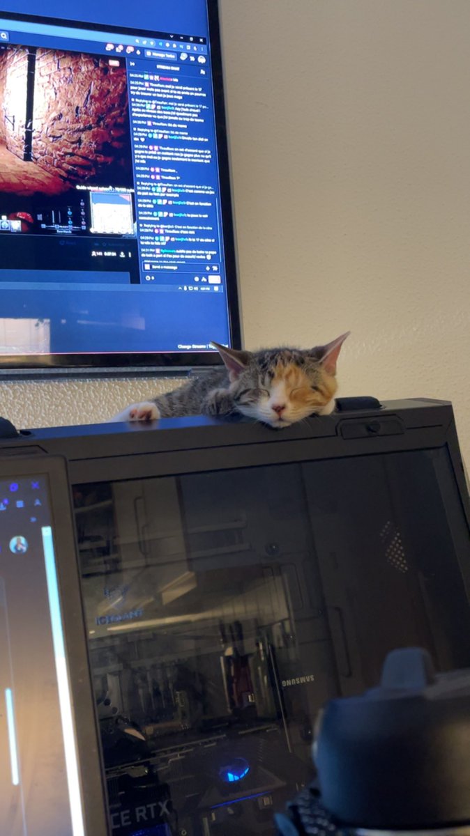 qewtex's tweet photo. Got my first cat, her name is zoe and shes 13 weeks old and very cute and cute and cute 

#cat #kitty #cute https://t.co/OMkmXXrTRs