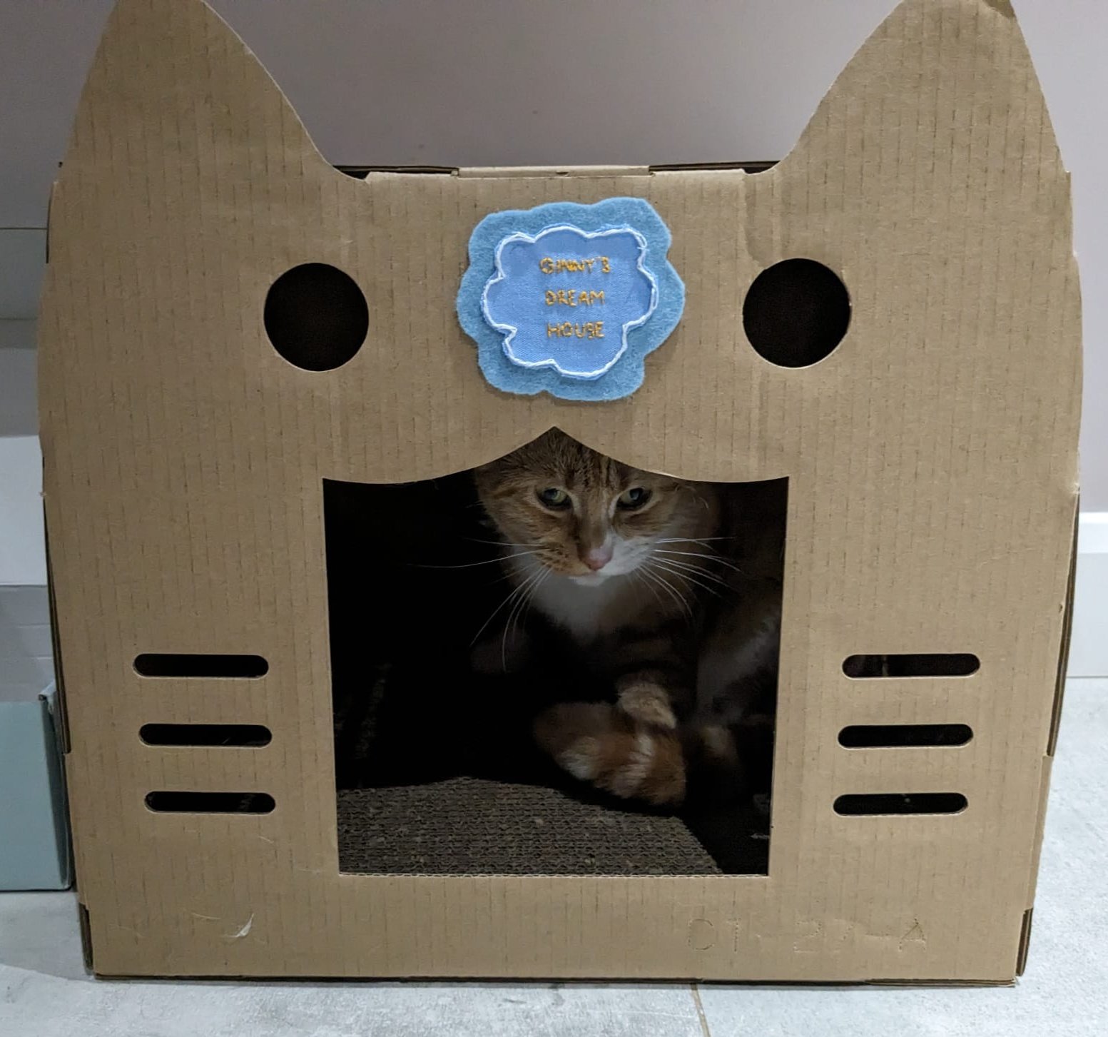 Great White Cardboard Cat House 