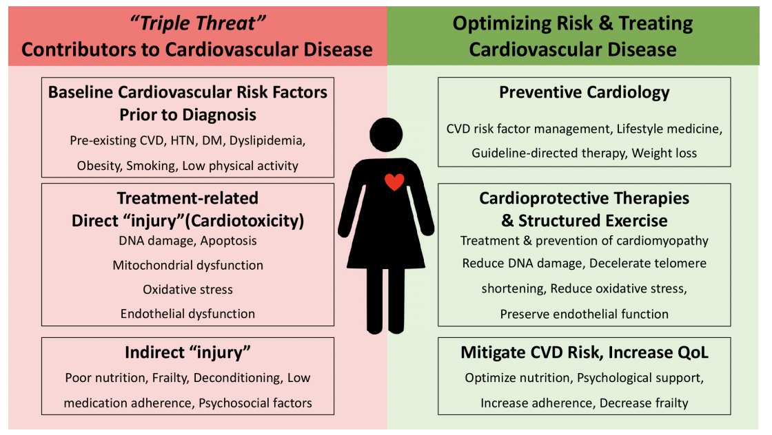 Education in Heart: Common origins and shared opportunities for breast
cancer and cardiovascular disease prevention  bit.ly/3lDi7zF