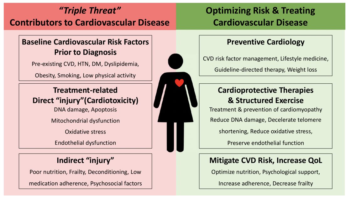 Education in Heart: Common origins and shared opportunities for breast cancer and cardiovascular disease prevention bit.ly/3lDi7zF