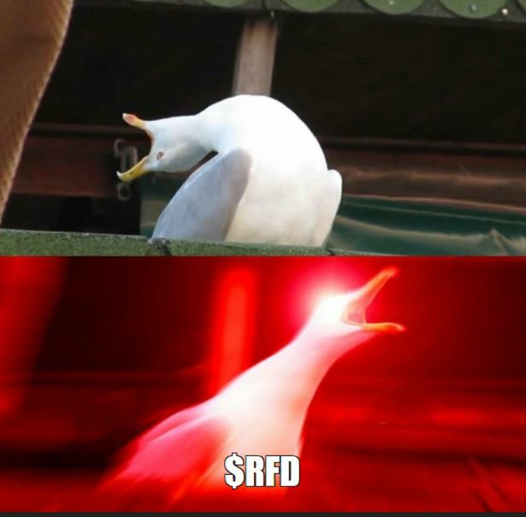 RepeKiy's tweet photo. $RFD is ready for reversal 🚀
Over 700k ATH, core community motivated and a fat mw. Only way is UP UP UP

#RFD #REFUND $PEPE $DOLAN $BRETT $APP

@RFD_ERC20 https://t.co/F0OvnhiKuf
