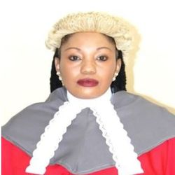 #ZimElection2023
Despite unwarranted bashing from CCC, this woman, Justice Priscilla Chigumba remained resolute in her professional conduct. Give her the flowers.
