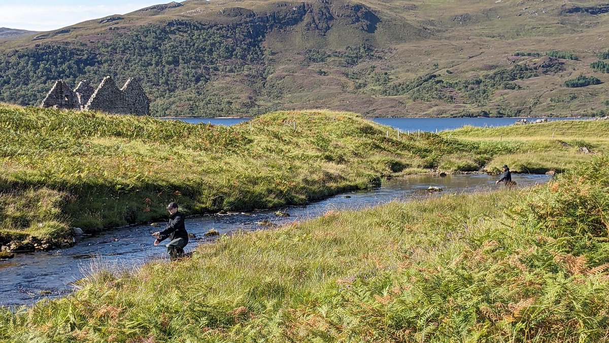 Fishing the small streams of Assynt with a backdrop of history! #flyfishing #lochassynt #troutfishing