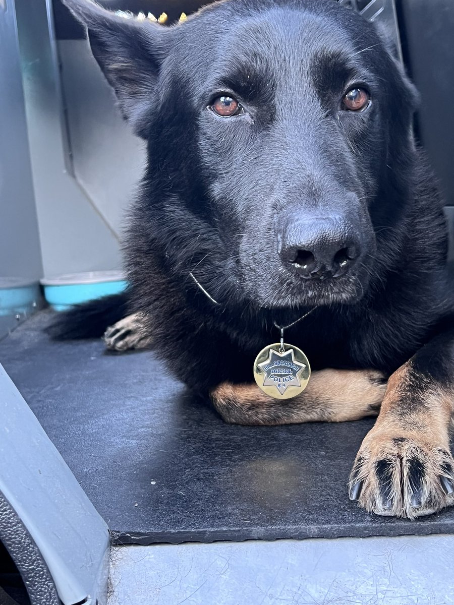 Happy National Dog Day from K9 Ozzy, K9 Diesel, and the Hillsborough Police Department.🐶 

#HillsboroughPD
#HillsboroughCA
#K9Unit