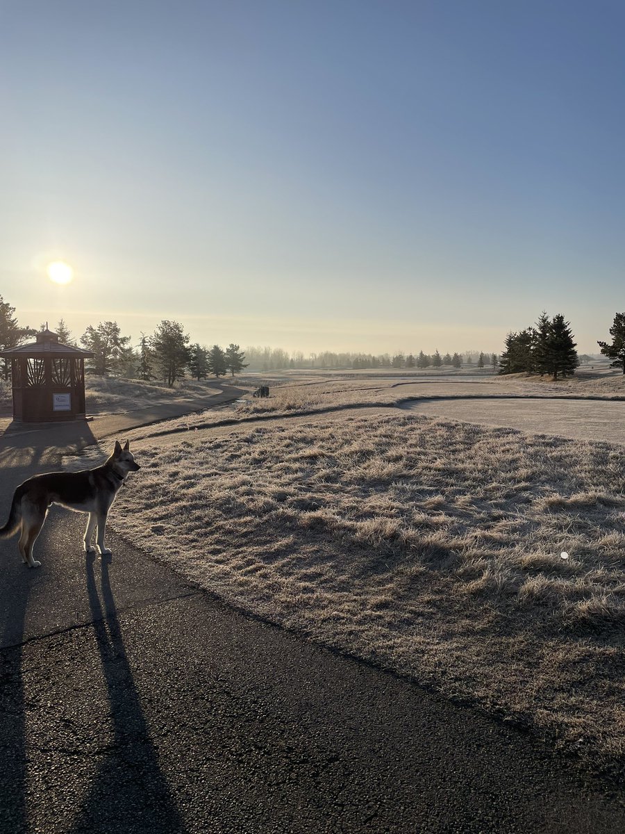 QuarryEdmonton's tweet image. Sharing some photos of our furry friends on #NationalDogDay

🐶🐾