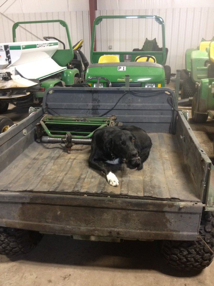 QuarryEdmonton's tweet image. Sharing some photos of our furry friends on #NationalDogDay

🐶🐾