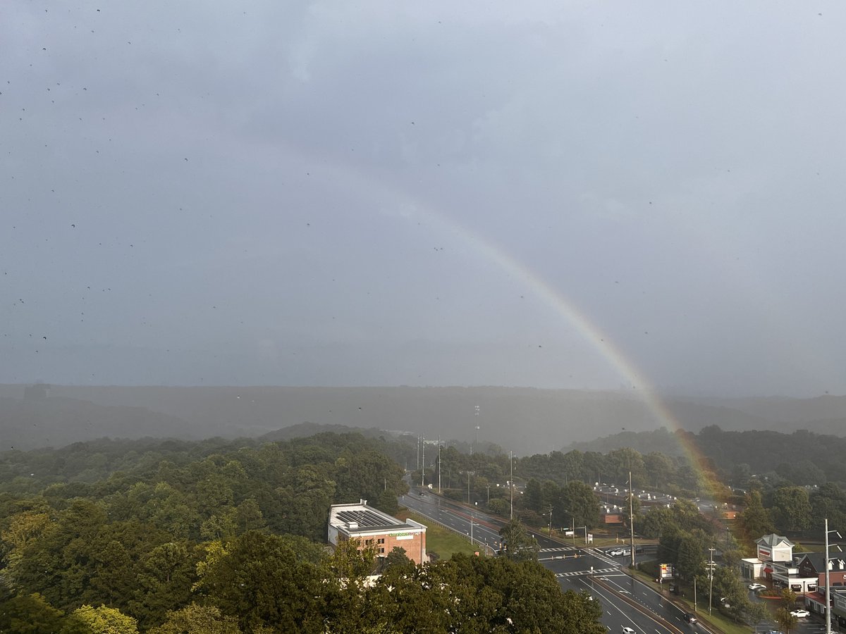 RorschachTheDog's tweet photo. Taken from our balcony… I’m pretty sure this means we are required to go to Dunkin Donuts 🐶 @RyanBeesleyFox5 #sunnyb https://t.co/1wqM74U84L