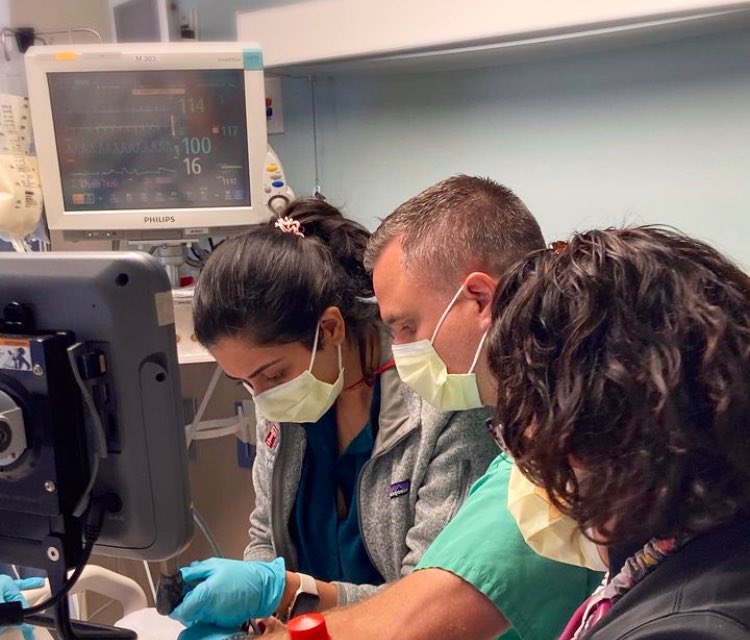 TemplePCCM tweet media