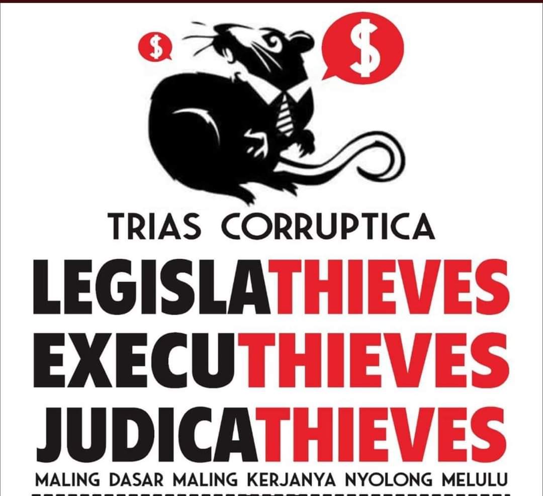 Alon Mas tweet media