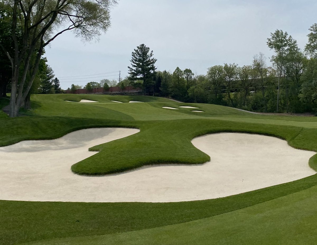 Then and now….ten years ago the lack of light was “drowning out” healthy turf…bunker contamination from washouts were annual events, until now…<a href="/kcm_cg/">KCM Construction Group Inc.</a> <a href="/Billy_Bunker/">Better Billy Bunker</a> late 2022/2023 has provided an improved Member experience which the Grounds Crew have nurtured daily 👍👏