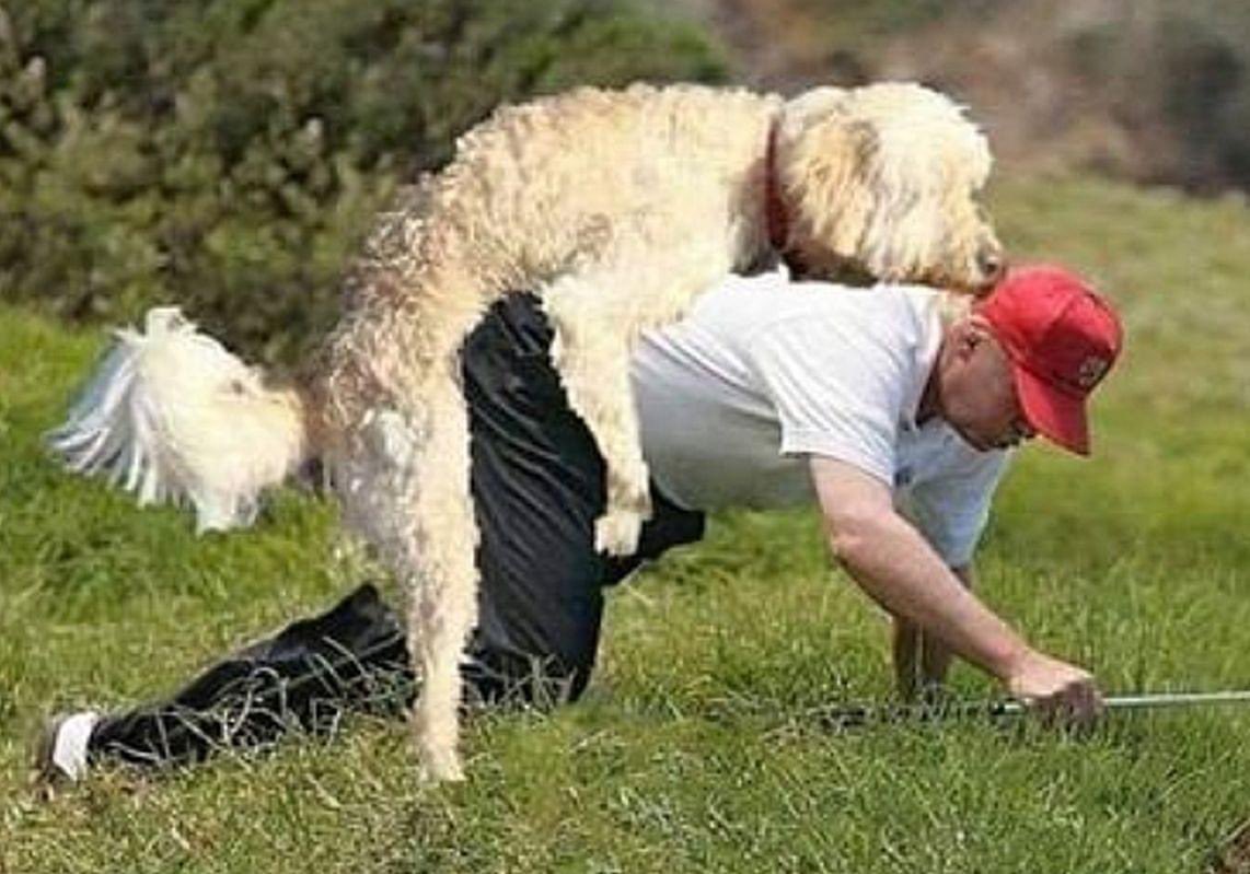 PaulWingard5's tweet image. Ha, ha.