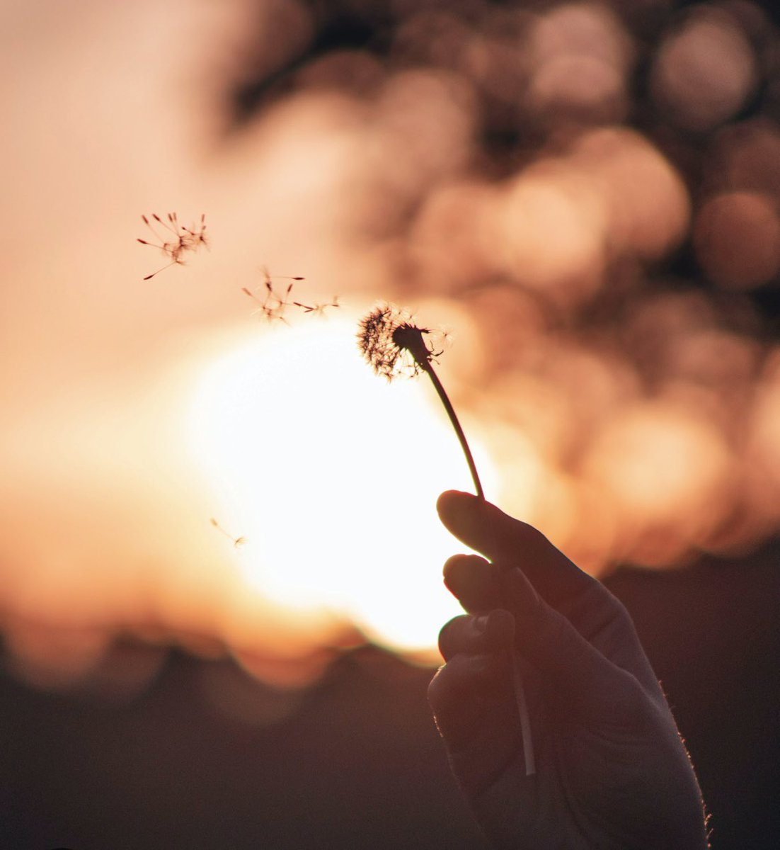 Just because you made some mistakes doesn’t mean you need to settle for less than you deserve. Forgive yourself. You deserve the world! #X #mentalhealth #StarfishClub