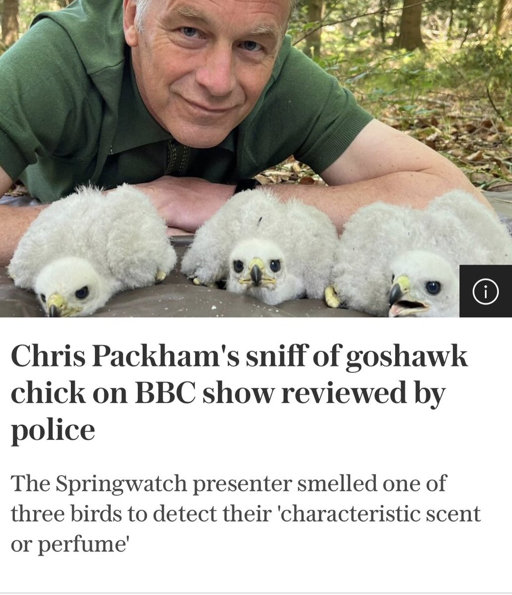 Shot_fox's tweet photo. Ex-Autumn Watch presenter facing police investigation after being accused of sniffing a protected goshawk chick https://t.co/WRCiKa2dsf