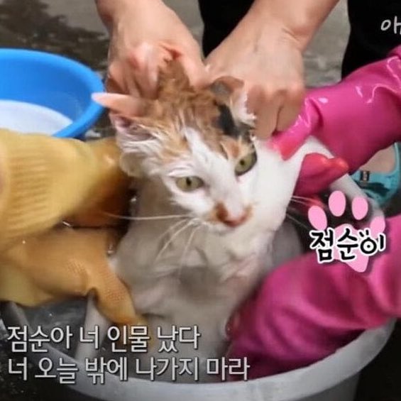 점순아 너 인물났다 
너 오늘 밖에 나가지마라