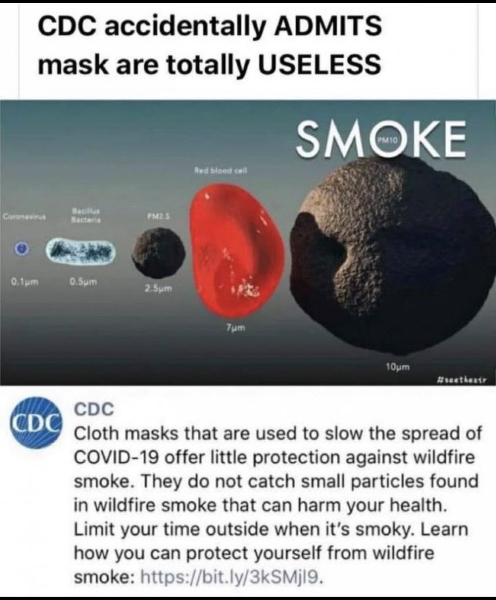 CDC acidentalmente admite que as máscaras não servem para nada! Retuítem para aqueles amigos que ainda acreditam que a fralda na cara irá protege-los.