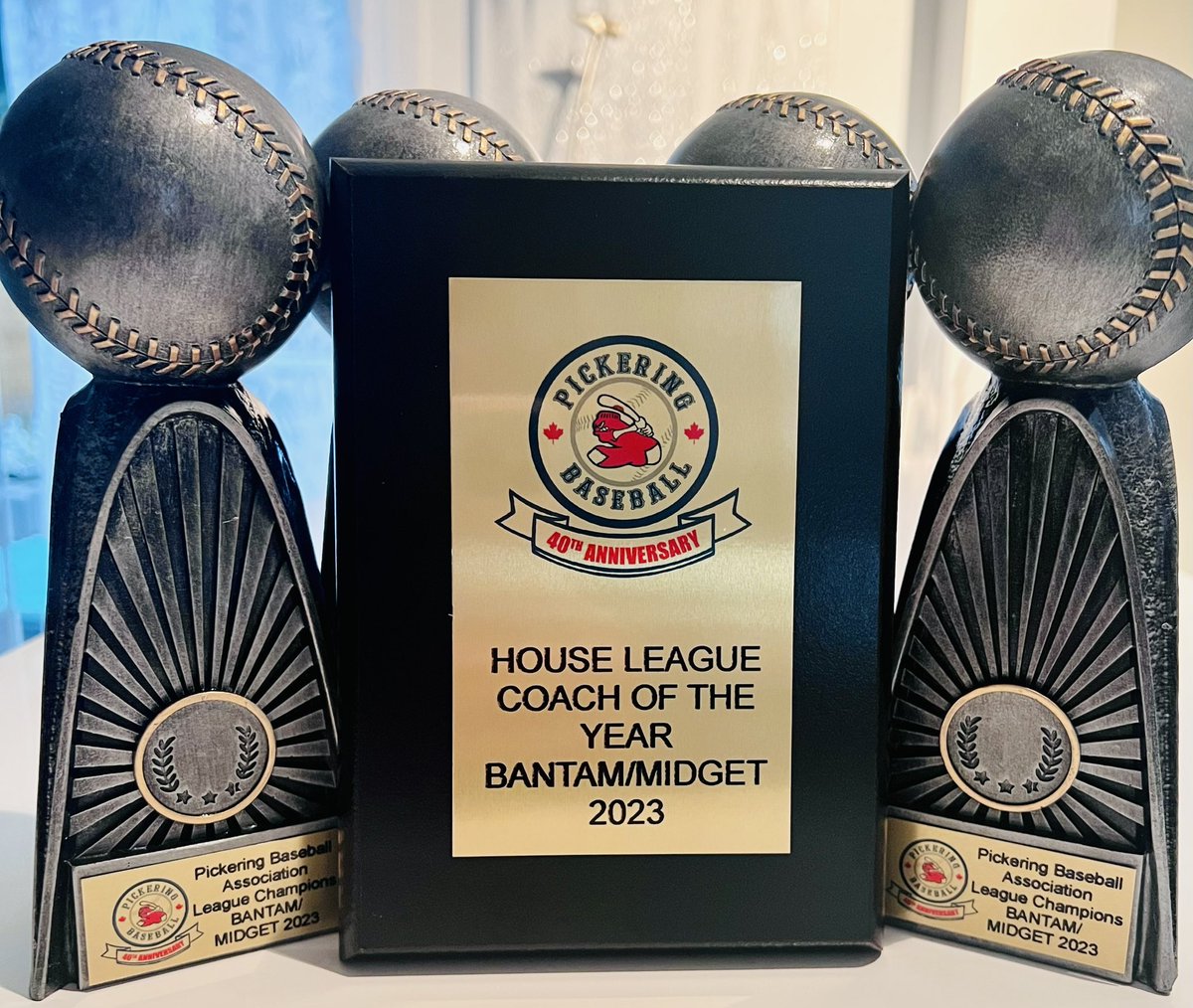 Having never have coached a team &amp; was asked 3 days before the start of the season to take the role of head coach, I can’t say how lucky, elated and proud I am of our team!!! They not only had the best record in their division but also won the championships!! 🏆⚾️