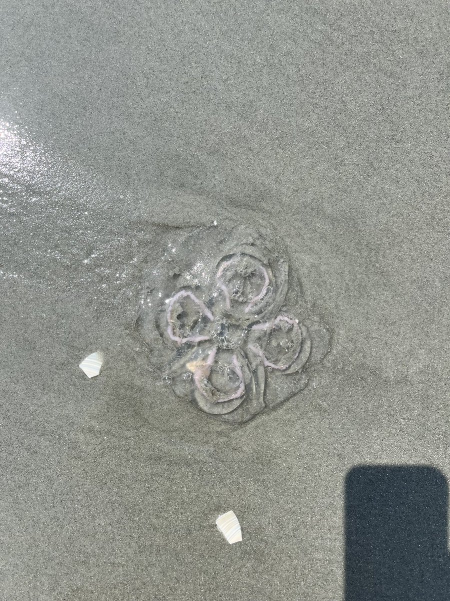 Toby Akers tweet media