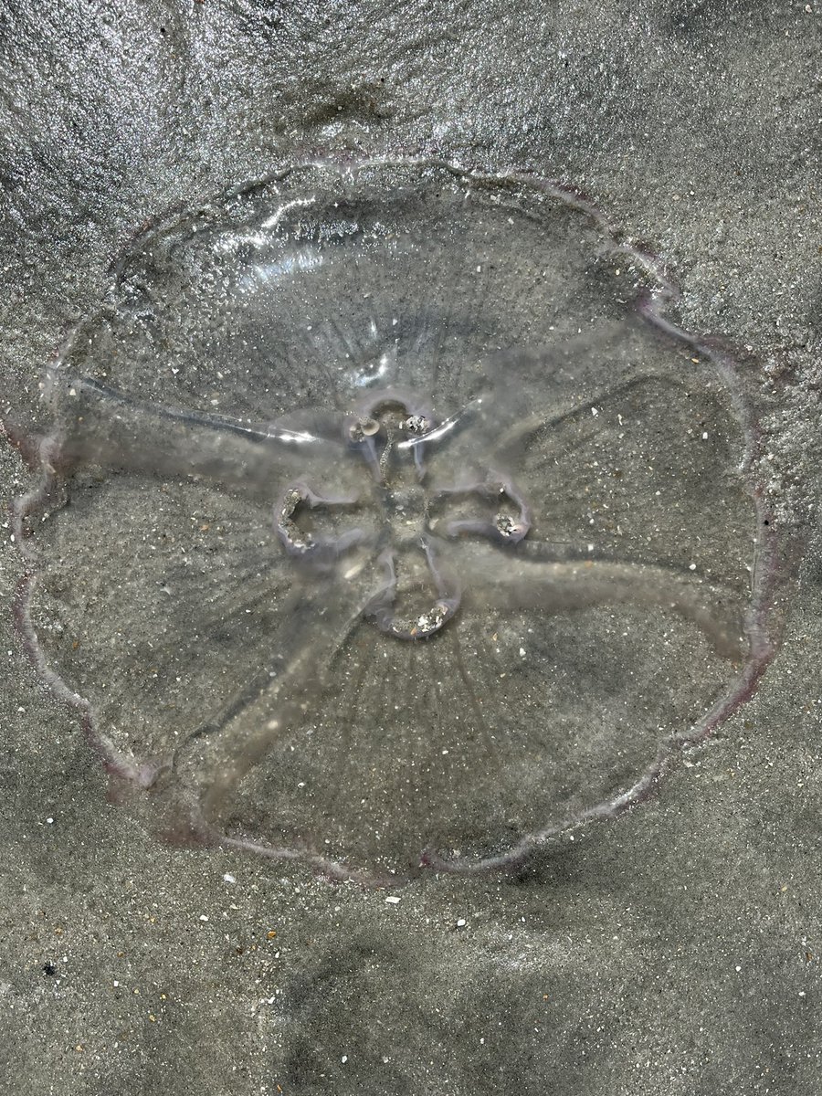 Toby Akers tweet media