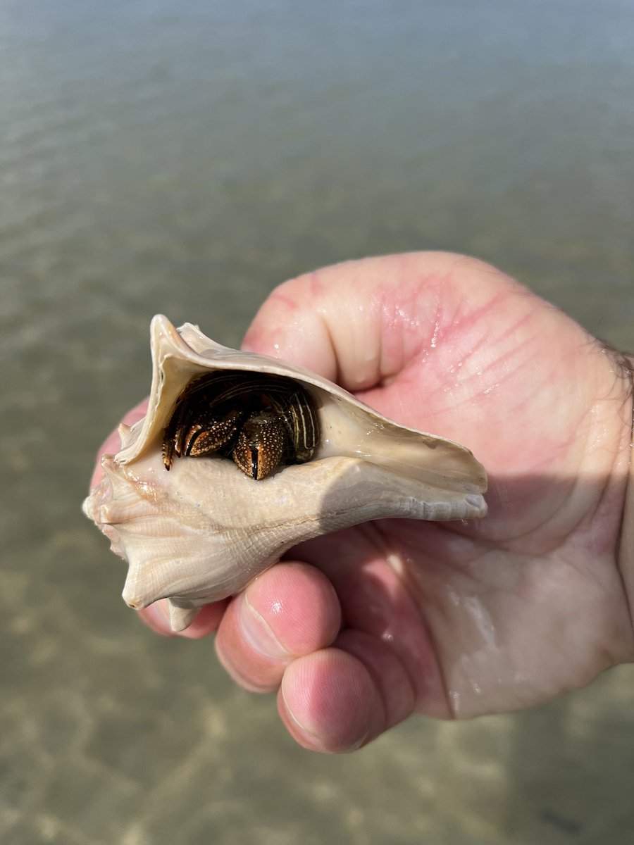 Toby Akers tweet media