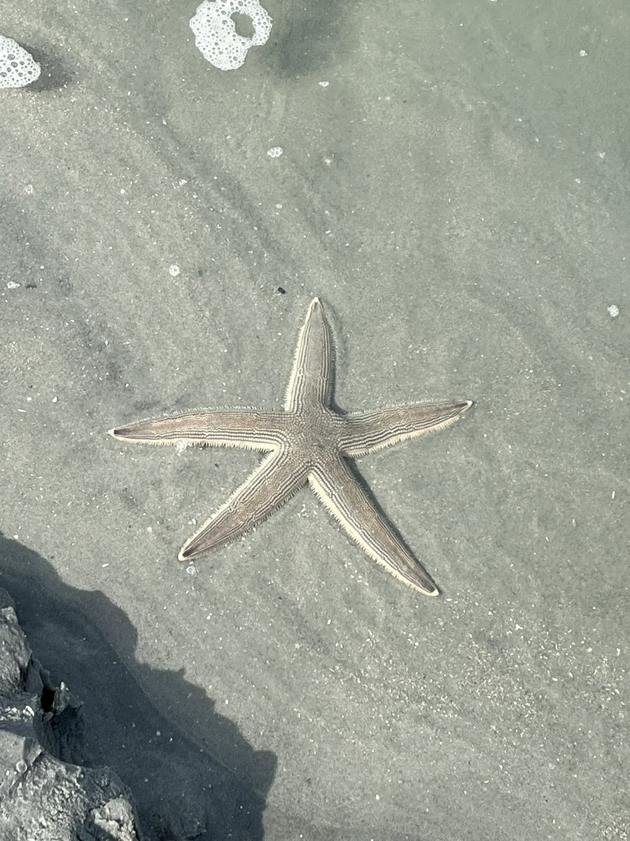 Toby Akers tweet media