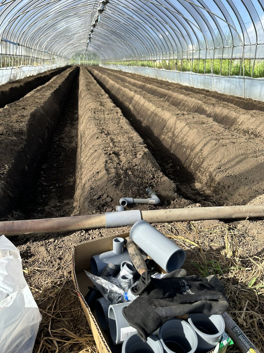 veltaro's tweet photo. 久々の投稿😓
畝立てが終わり配管作業
毎年何故か位置がずれるので手直し中😮‍💨 https://t.co/5ePiViAu4t
