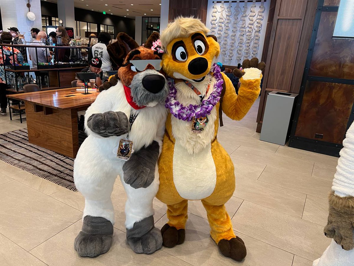 MartyMeerkat @ FC 🌴🍍🌴 tweet media