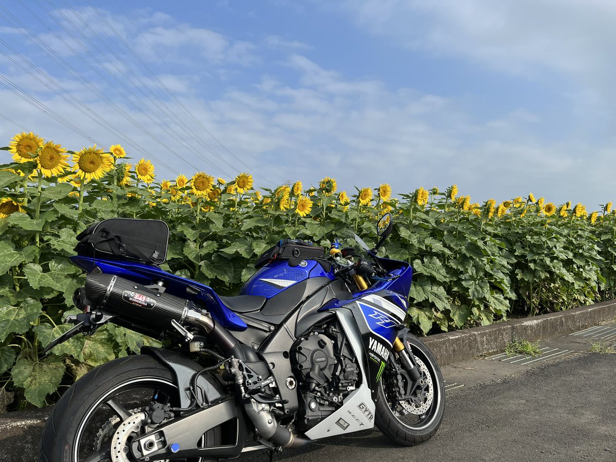 東海林 順 (Shouji Junn) tweet media