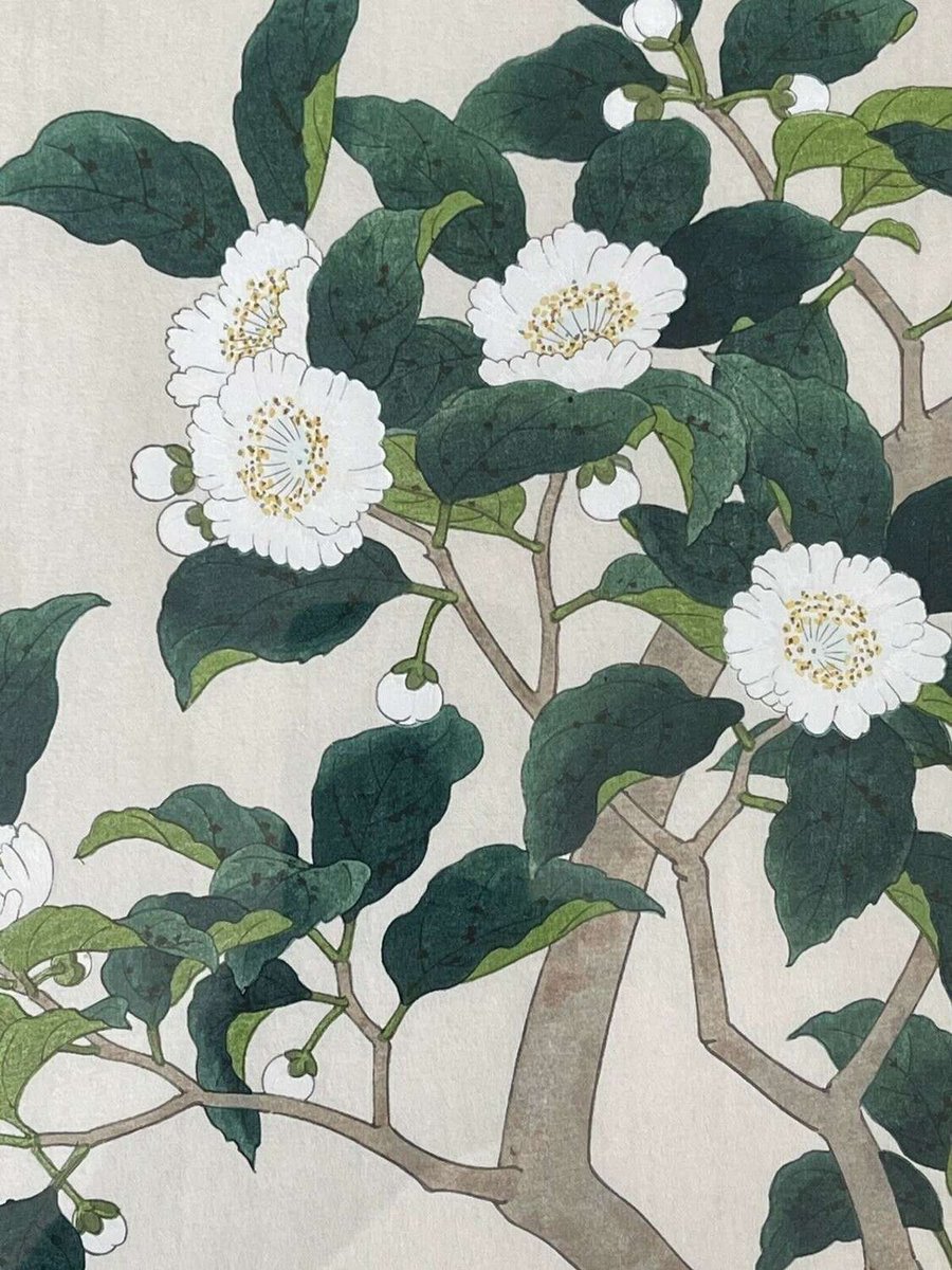 Nisaburo Ito (1910-1988)
Tea Tree