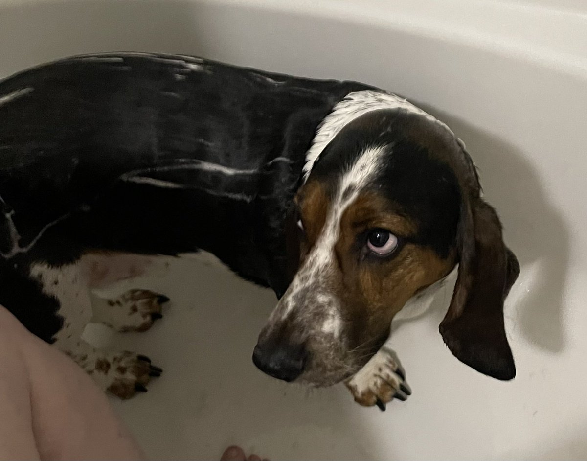 Gusterbear's tweet photo. Hihihi. Karls had BAFF. Kid told very good story to Karls but overall was terrible horrible thing. https://t.co/loSZtYhj96