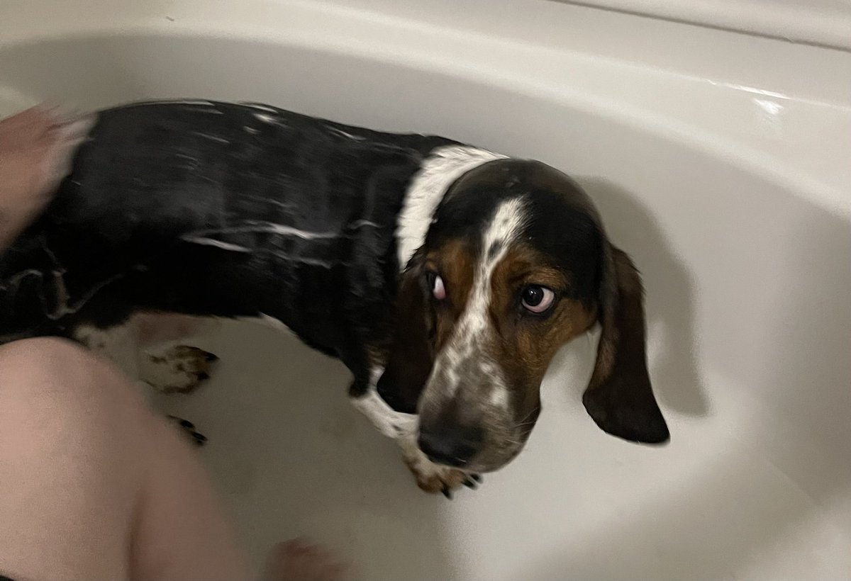 Gusterbear's tweet photo. Hihihi. Karls had BAFF. Kid told very good story to Karls but overall was terrible horrible thing. https://t.co/loSZtYhj96