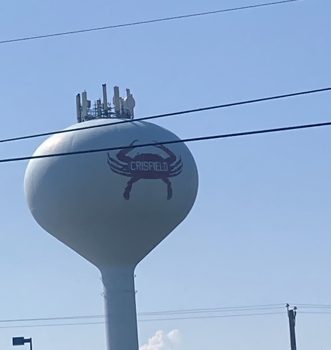 Marc Korman tweet media