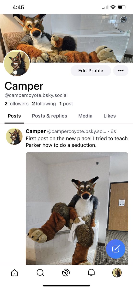campercoyote's tweet photo. I made it to the new place! Thanks @GrayWuff! ♥️ https://t.co/nS1y29WHTY