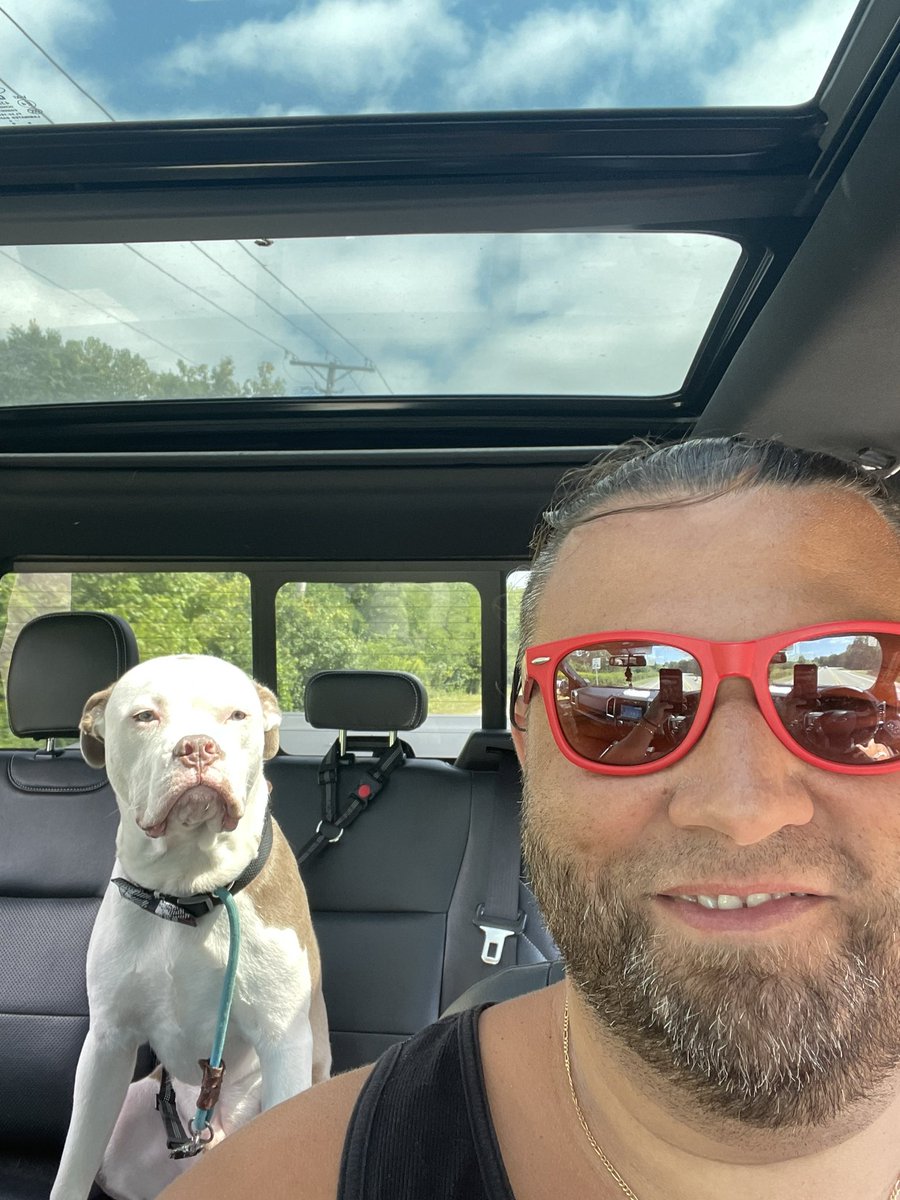 TigerStyle tweet media