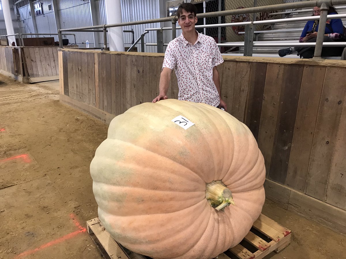 Big Pumpkin Company tweet media