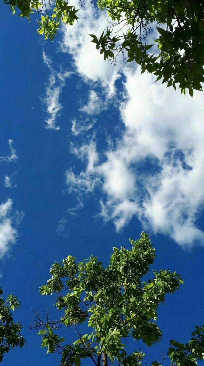 مايختاره الله هو كل الخير ، فقل الحمدلله دائمًا لأنك والله لن تجد أجمل من اختيارات الله لحياتك ،فكلها تنصب في صالحك وأنت لاتعلم  فـ رب الخير لا يأتي إلّا بالخير ...

#صباح_الخيرᅠ 
#صباح_الخير_والسعاده