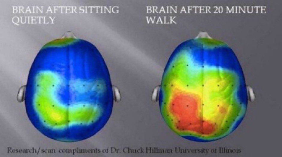 Remember this one? Before & after of a brain after a 20 minute walk — why walking to work, or school, or just to get the intellectual juices flowing, is linked to better creative & intellectual performance. Among MANY other benefits to you and to society.

Design #walkablecities.