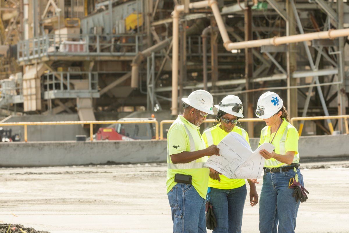 Mosaic in Florida tweet media