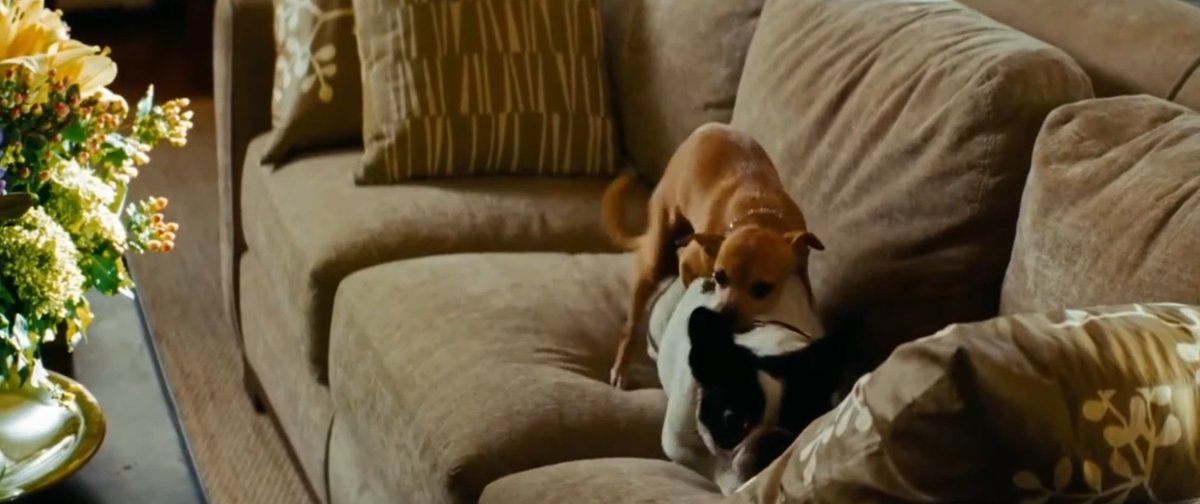 TFHypeGuy's tweet image. Idgaf about any arguments you wanna make.

Shit like this is why the bayverse should stay DEAD FOREVER.