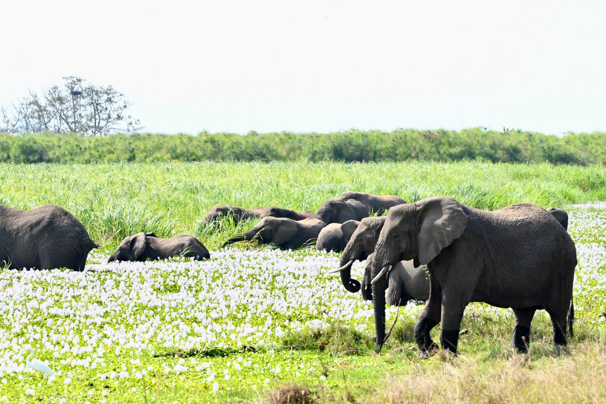 Lynn Von Hagen, PhD tweet media