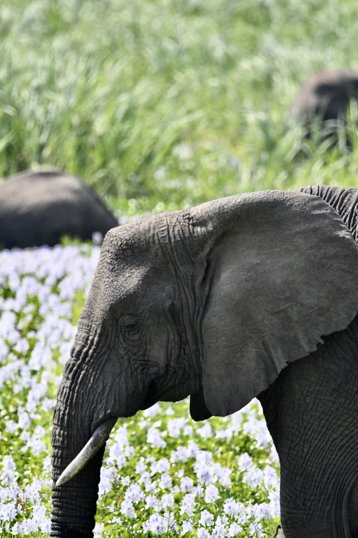 Lynn Von Hagen, PhD tweet media