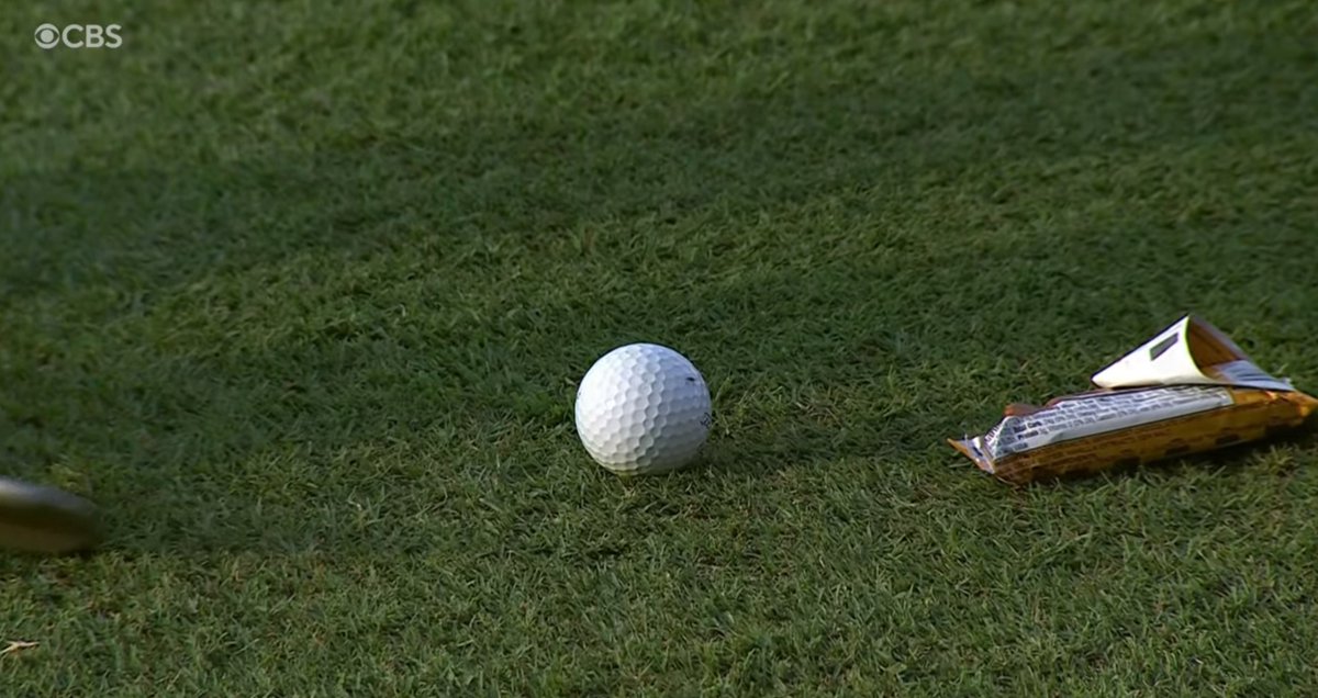 Ted Scott put an energy bar down next to Scottie Scheffler's golf ball to try and attract a bug away from the ball. All time normal sport moment.