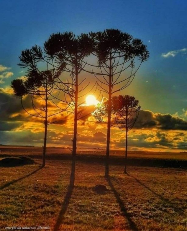 expressions77's tweet image. #sunset #beautiful #outdoors #nature