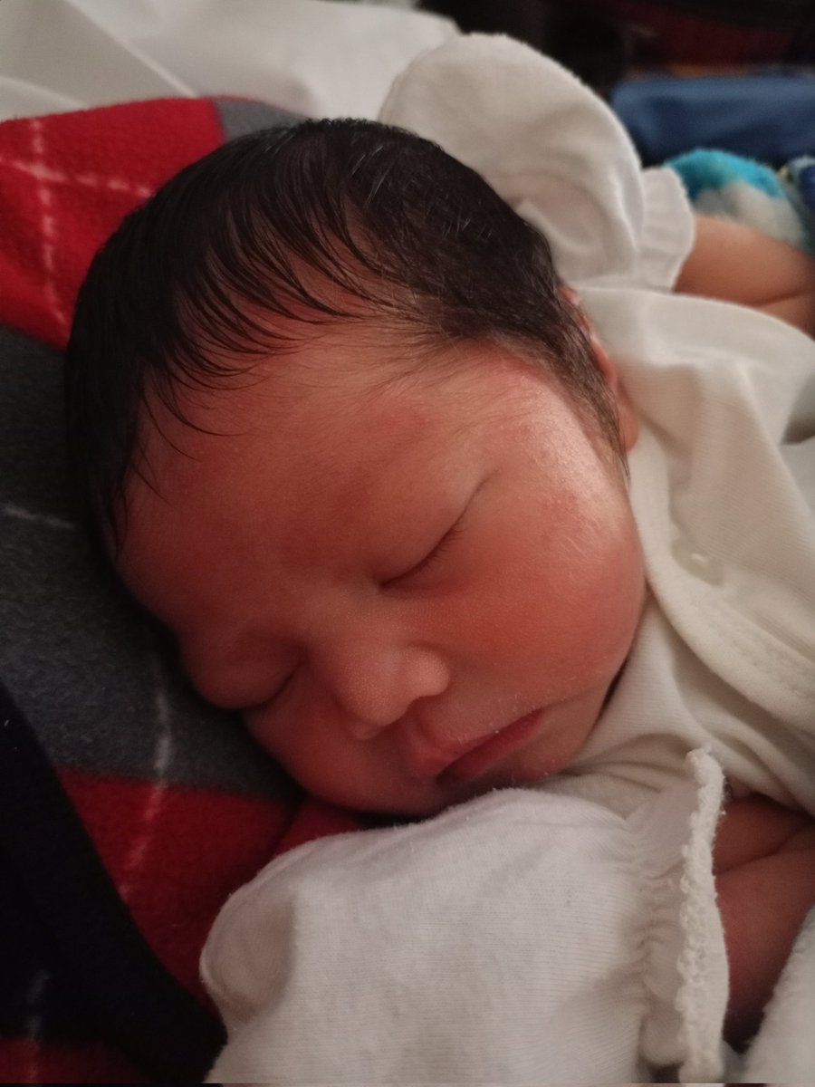 j15maslog's tweet photo. Hi I'm REESE JADE💖 https://t.co/jukwo6cfJO